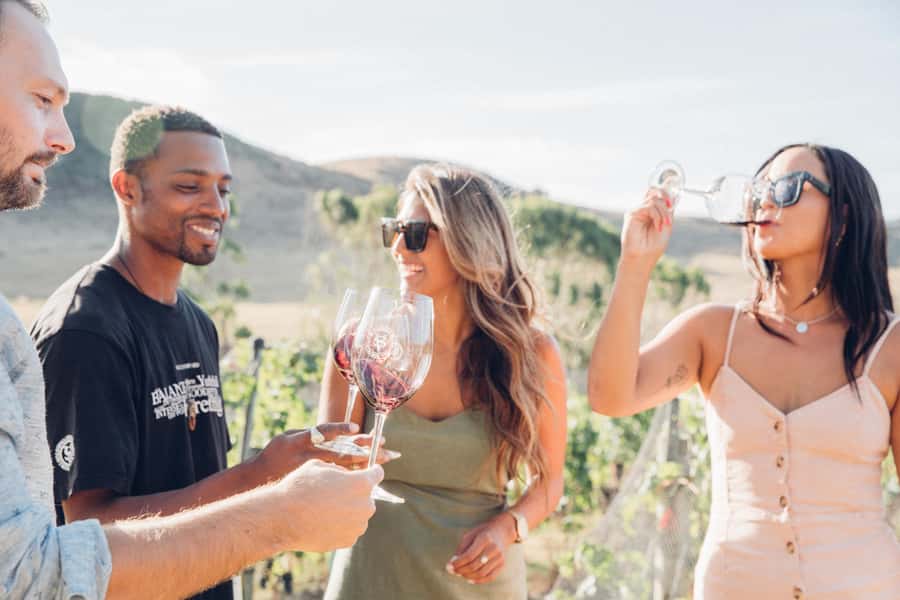 Waiheke Island: Wine Tour & Lunch at Award Winning Venue - Ferry timing and meeting your guide at Matiatia Wharf