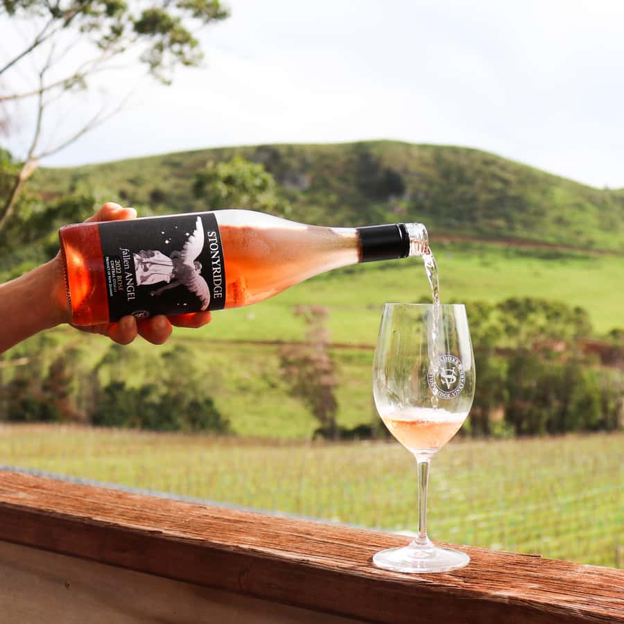 Waiheke Island: Wine Tour & Lunch at Award Winning Venue - Winery stops can vary, so think of the tour as a wine circuit