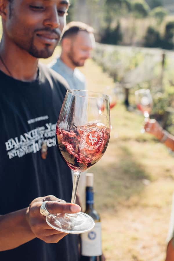 Waiheke Island: Wine Tour & Lunch at Award Winning Venue - Drinks, pace, and how to enjoy tastings without getting overwhelmed