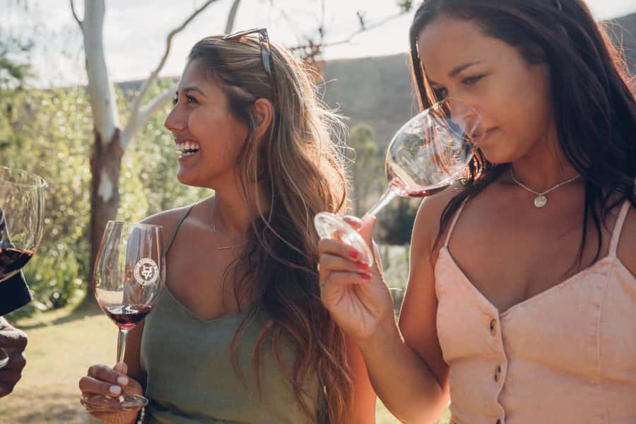 Waiheke Island: Wine Tour & Lunch at Award Winning Venue - Price and value: is $170 worth it for a 5-hour day