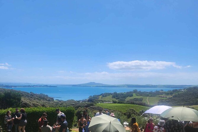Waiheke Island Wine Tour with Tastings & Gourmet Beachfront Lunch - Key Highlights Worth Marking On Your Day