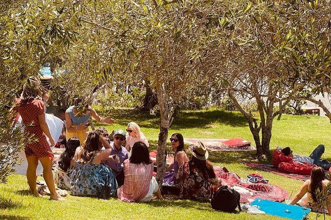 Waiheke Island Wine Tour with Tastings & Gourmet Beachfront Lunch - Why This Half-Day Tour Works So Well on Waiheke