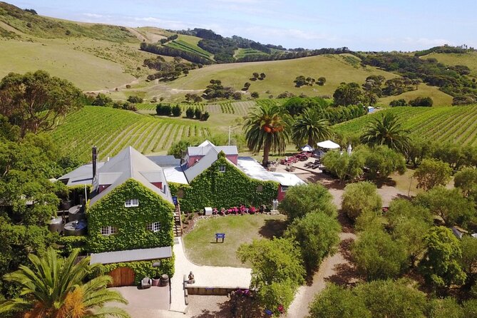 Waiheke Island Wine Tour with Tastings & Gourmet Beachfront Lunch - Who Should Book This, and Who Should Skip It