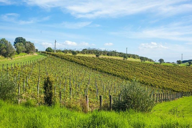 Waiheke island wine tours with Waitiki Tours - Mudbrick Vineyard: city and gulf views plus a photogenic finish