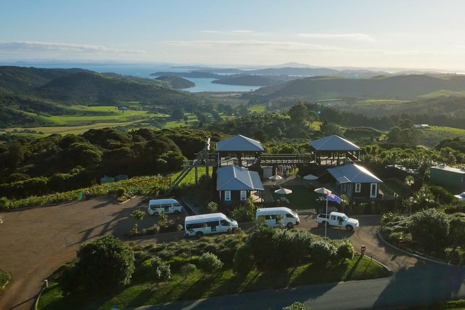 Waiheke Island: Zipline And Forest Walk - The Minivan Intro: Island Facts Without the Lecture Vibe