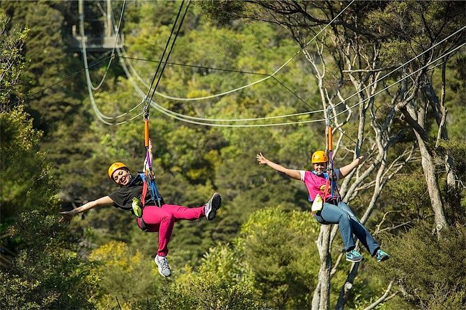 Waiheke Island: Zipline And Forest Walk - The Forest Walk Back to Trig Hill: Nature Time With a Purpose