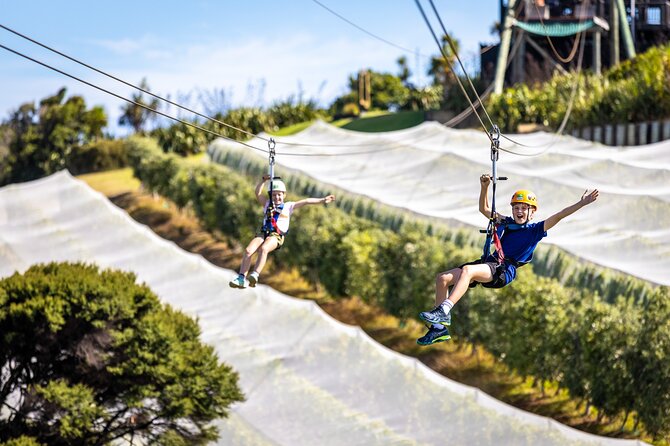 Waiheke Island: Zipline And Forest Walk - Guides and Safety: Why This Feels Well Run