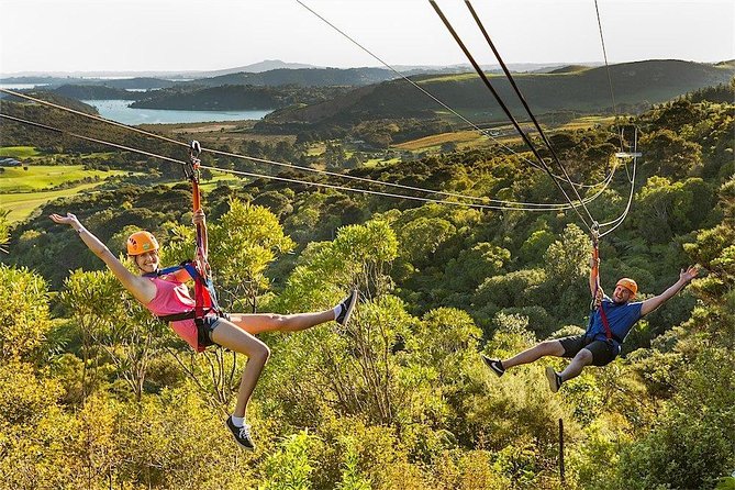 Waiheke Island: Zipline And Forest Walk - Price and Value: Is $92.47 Worth It?
