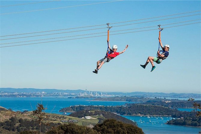 Waiheke Island: Zipline And Forest Walk - Who This Tour Suits Best (And Who Should Reconsider)