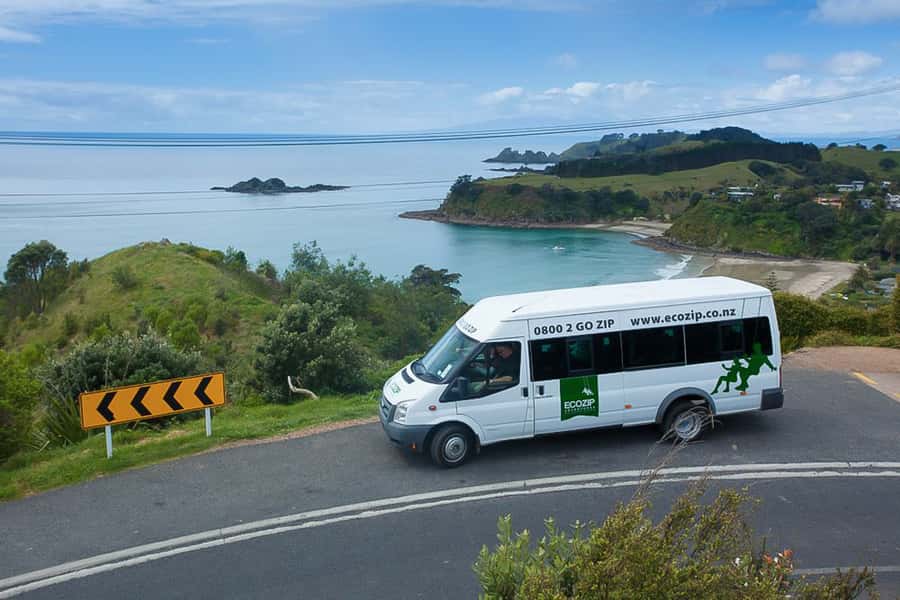 Waiheke Island: Zipline and Native Forest Adventure Trip - Waiheke Island, native bush, and an instant dose of altitude