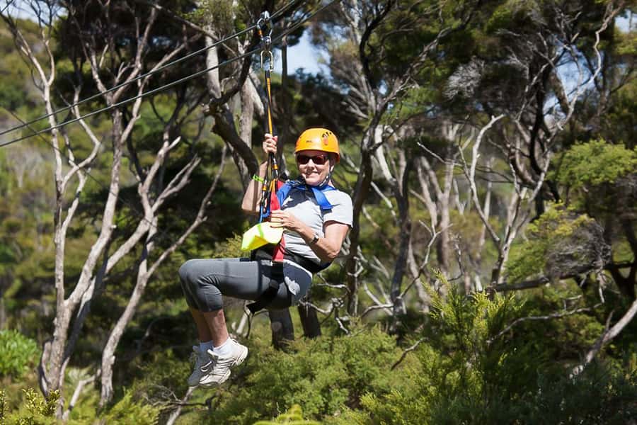 Waiheke Island: Zipline and Native Forest Adventure Trip - Three ziplines over native bush and a working vineyard