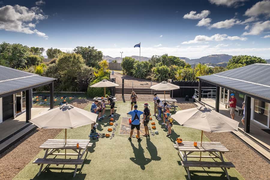 Waiheke Island: Zipline and Native Forest Adventure Trip - What you see: Auckland, Rangitoto, and the Hauraki Gulf from above