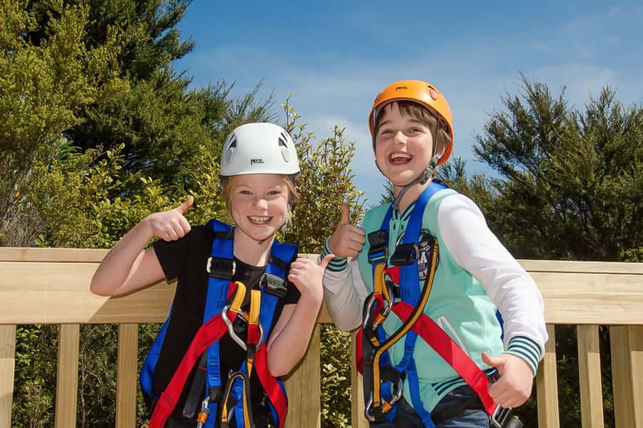 Waiheke Island: Zipline and Native Forest Adventure Trip - Safety focus you can feel from the briefing to the walk back
