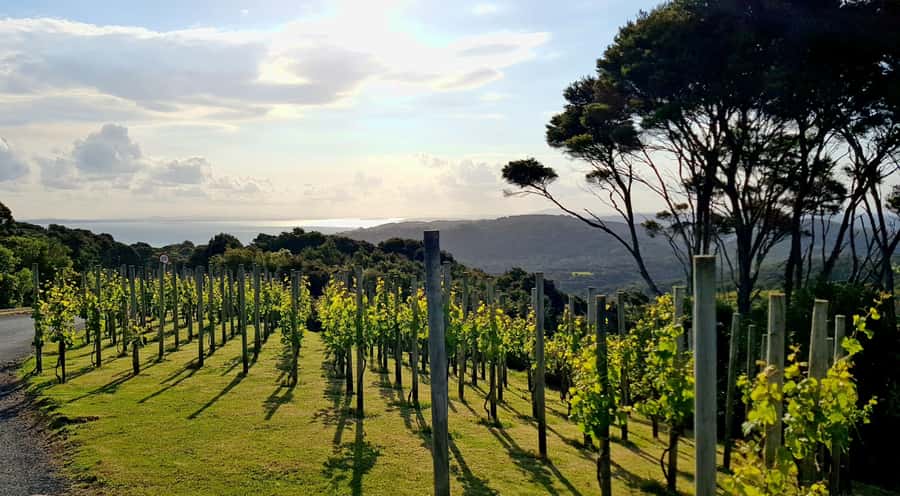 Waiheke: Scenic Taste and Graze Tour with Wine, Whisky, Beer - The Heke Kitchen, Brewery and Distillery: beer and whisky with serious atmosphere