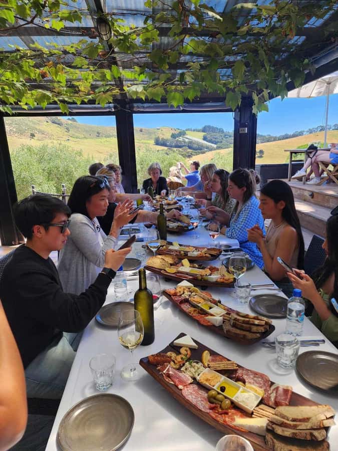 Waiheke: Scenic Taste and Graze Tour with Wine, Whisky, Beer - Price, pacing, and what you actually get for $238