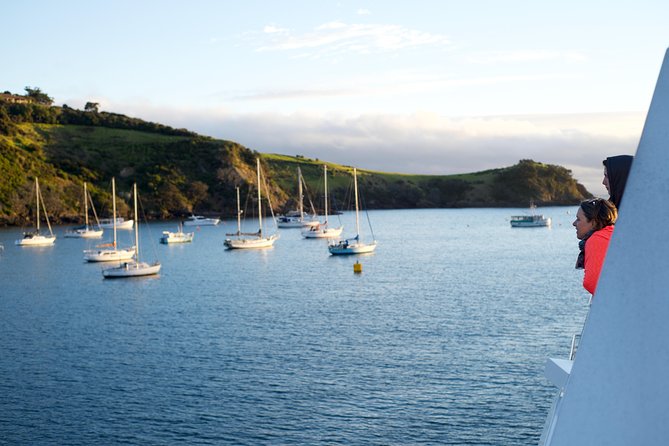 Waiheke Wine and Dine - Batch Winery - Getting to the Downtown Ferry Terminal without stress