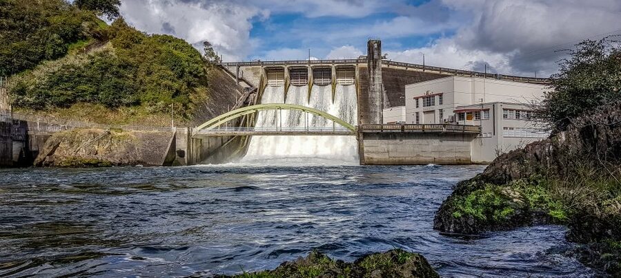 Waikato River: 1-Hour Ecological River Cruise - What to bring, and how to prepare for a jet boat hour