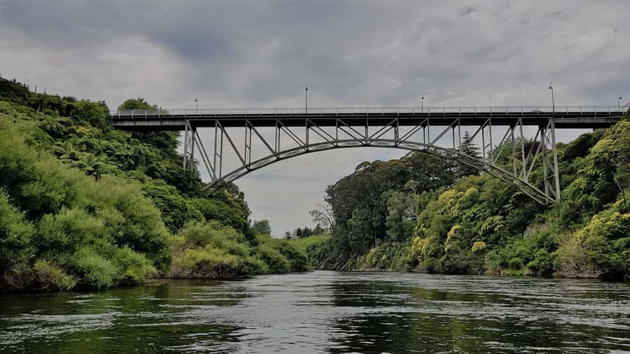 Waikato River: 1-Hour Ecological River Cruise - How the 1-hour jet boat ride really works, speed, spins, and pacing