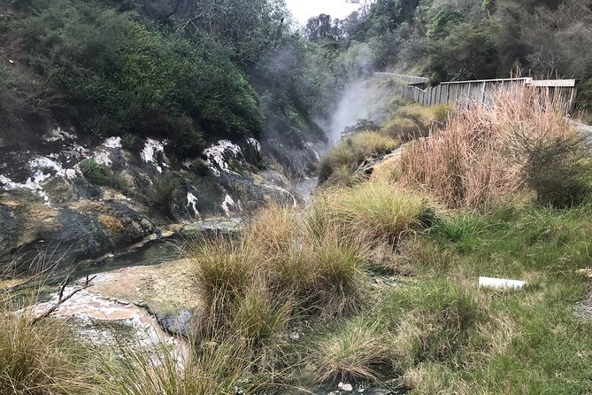 Waimangu Geothermal Valley & Lake Rotomahana Tour – 7hrs - Getting to Waimangu Volcanic Valley from Tauranga, with a smooth start