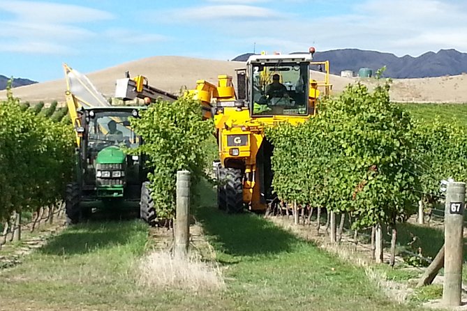 Waipara Wine Tour from Christchurch - including Lunch & Tastings - Waipara Springs: A Classic Stop for a Reason