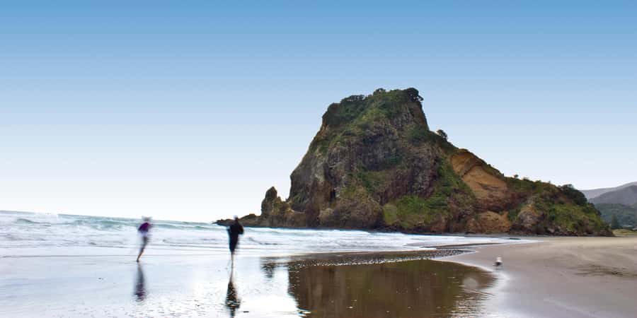 Waitakere Ranges Wilderness Experience Tour from Auckland - A 5-hour escape from Auckland to the west coast edge