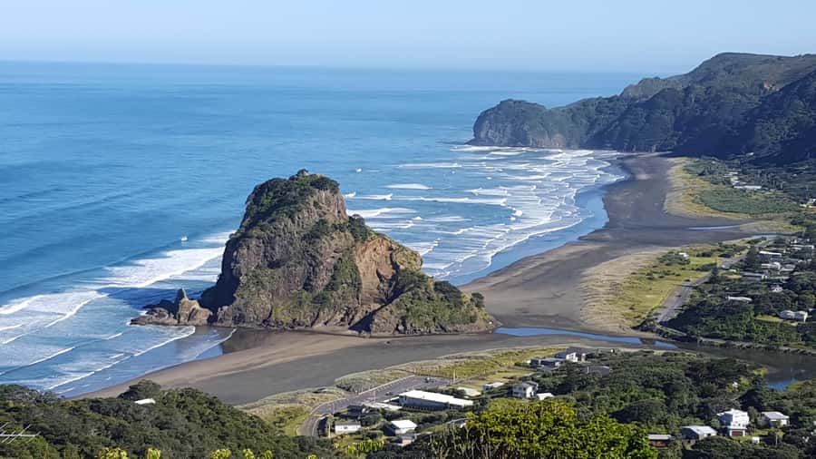 Waitakere Ranges Wilderness Experience Tour from Auckland - Kiwi-style afternoon tea that turns a long day into a sweet landing