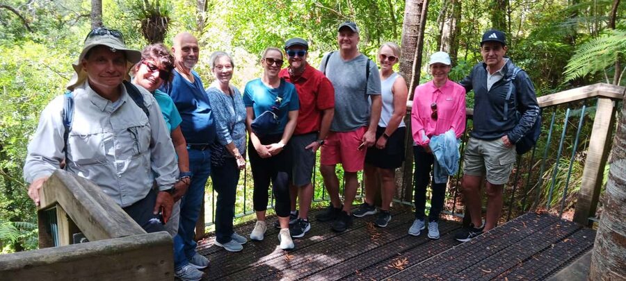 Waitangi: Kawiti Glow Worm Cave & Opua Kauri Forest Walk - Who this tour suits best, and who should skip it