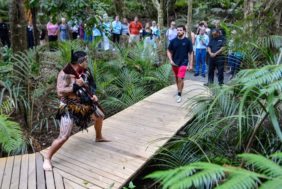 Waitangi: Treaty Grounds Hāngī and Concert Combo Pass - Where This Happens, and Why Waitangi Matters