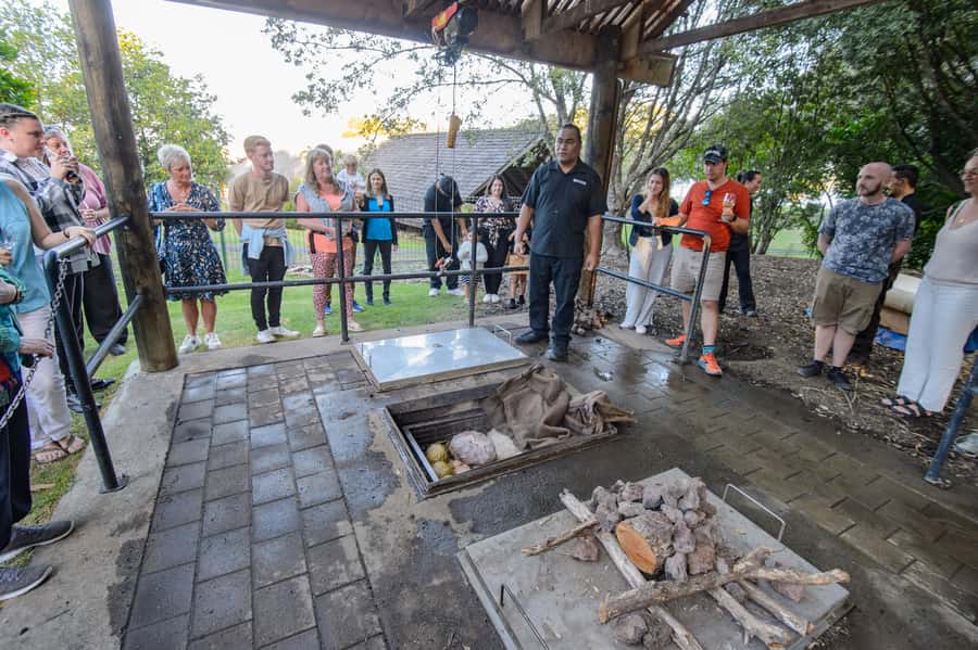 Waitangi: Treaty Grounds Hāngī and Concert Combo Pass - The Cultural Performance (Energy, Interaction, and What to Expect)