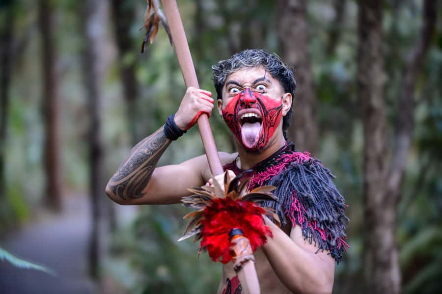 Waitangi: Treaty Grounds Hāngī and Concert Combo Pass - Making Sense of the Museums You Can Visit