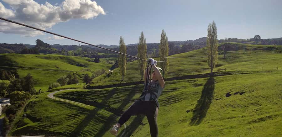 Waitomo Caves 1-Kilometer-Long Zipline Tour - Who should book this zipline tour, and who should skip it