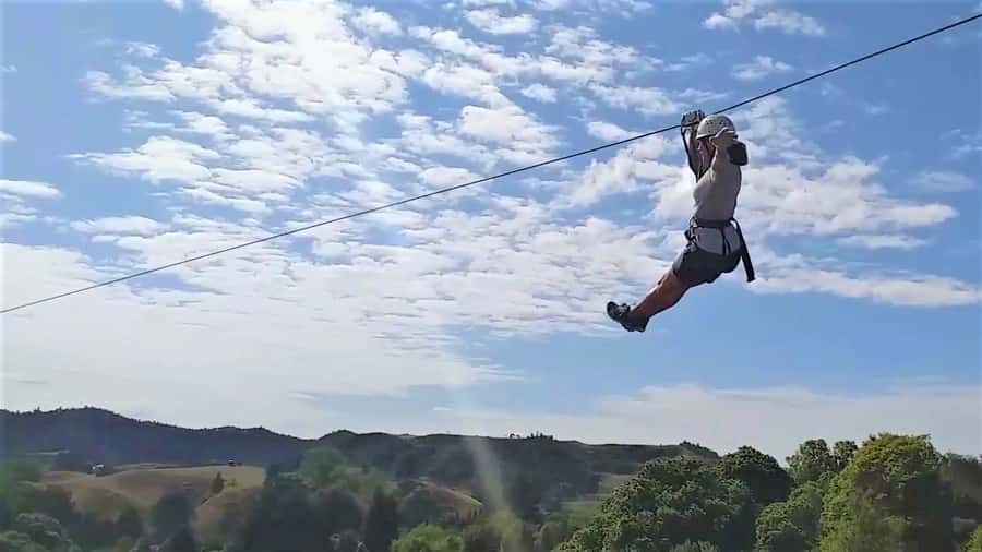 Waitomo Caves 1-Kilometer-Long Zipline Tour - The 10-line flow: from native trees to the 280-meter finish