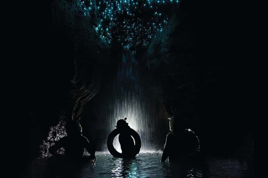 Waitomo Caves Black Abyss Ultimate Caving Experience - Meeting point, timing, and planning your day around the cave