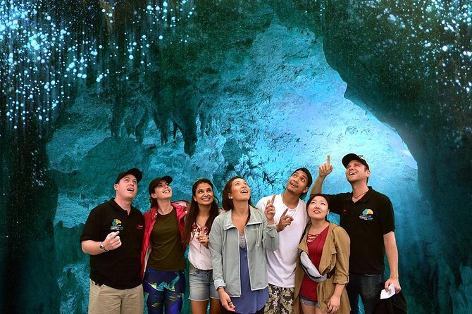 Waitomo Caves & Hobbiton Small Group Tour inc Lunch from Auckland - Hobbiton Movie Set by green bus: a 2.5-hour guided tour you can pace yourself through