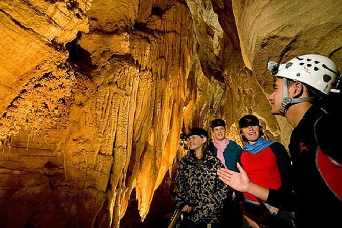 Waitomo Caves Private Driver for Tour - Price and Value: What You’re Really Paying For