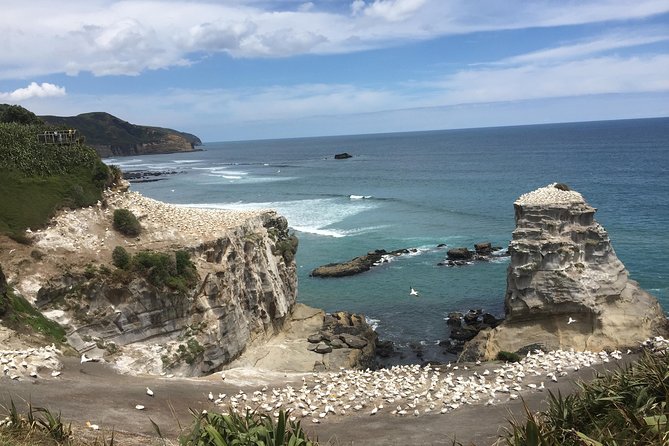 Waitomo Caves Private Driver for Tour - Auckland to Waitomo: The Drive Time You Should Plan For
