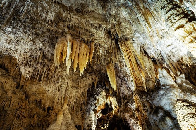Waitomo Caves & Rotorua - Te Puia Small-Group Tour from Auckland - Waitomo Glowworm Caves: what a guided, low-light cave experience really means