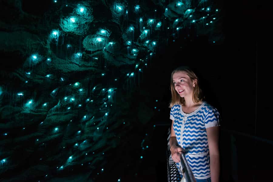Waitomo Caves: Ruakuri Cave 1.5 Hour Guided Tour - Ruakuri Cave feels more personal than the big-name glowworm tours