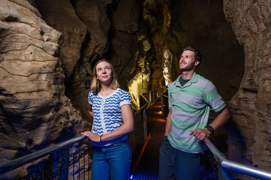 Waitomo Caves: Ruakuri Cave 1.5 Hour Guided Tour - Glowworms up close, but set expectations for how many you’ll see