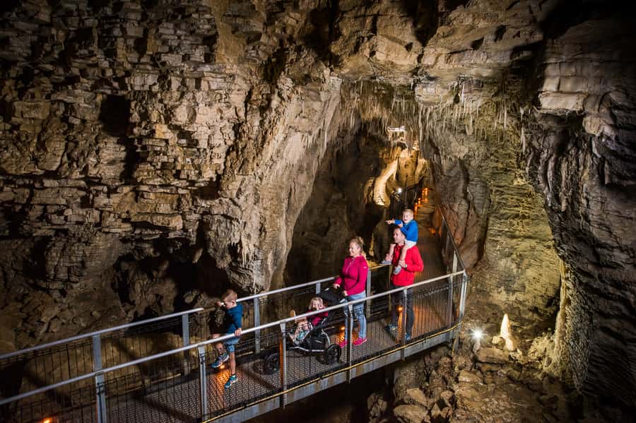 Waitomo Caves: Ruakuri Cave 1.5 Hour Guided Tour - Stairs, dark passages, and the jacket-and-shoes reality