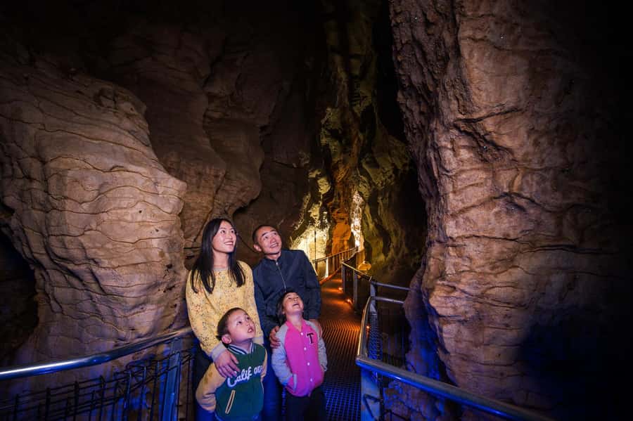 Waitomo Caves: Ruakuri Cave 1.5 Hour Guided Tour - Price and value: is $66 for 90 minutes fair?