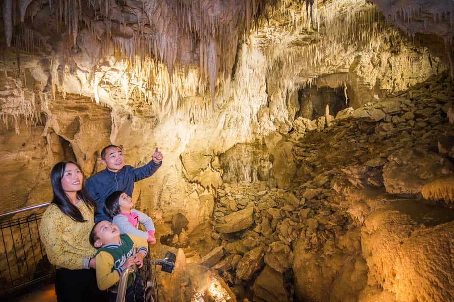 Waitomo Caves: Ruakuri Cave 1.5 Hour Guided Tour - Pair Ruakuri with the free Ruakuri Bush Walk for extra context