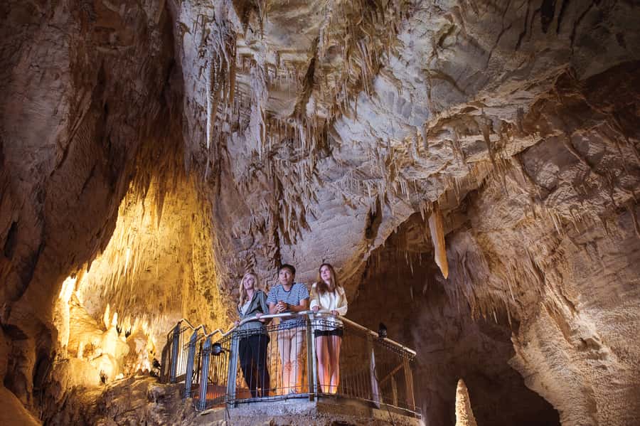 Waitomo Caves: Ruakuri Cave 1.5 Hour Guided Tour - Should you book the Ruakuri Cave 1.5-hour guided tour?