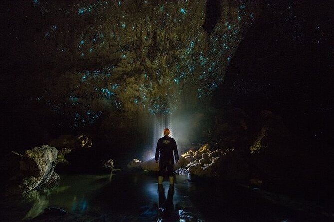 Waitomo Glow Worm Caves - Key takeaways before you go
