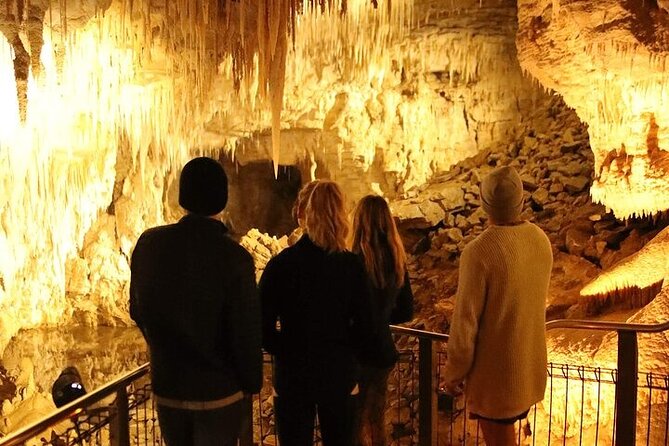 Waitomo Glow Worm Caves - Timing, group size, and what to expect from the day