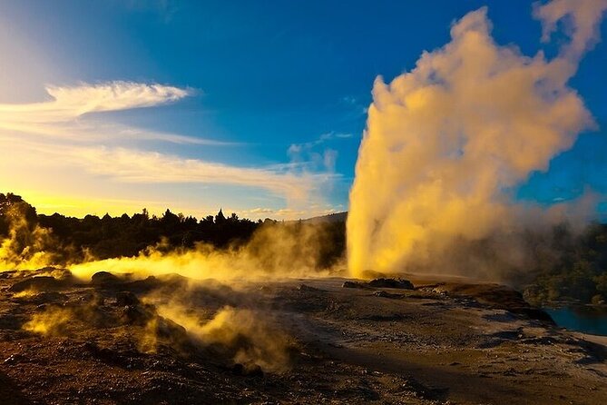 Waitomo Glow Worm Caves & Te Puia (Rotorua) Private Tour - Pacing and Timing: How to Survive a 12-Hour Day