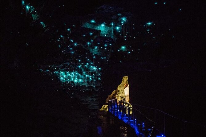 Waitomo Glow Worm Caves & Te Puia (Rotorua) Private Tour - Waitomo Glow Worm Caves: Caves, Guides, and a Boat on the River