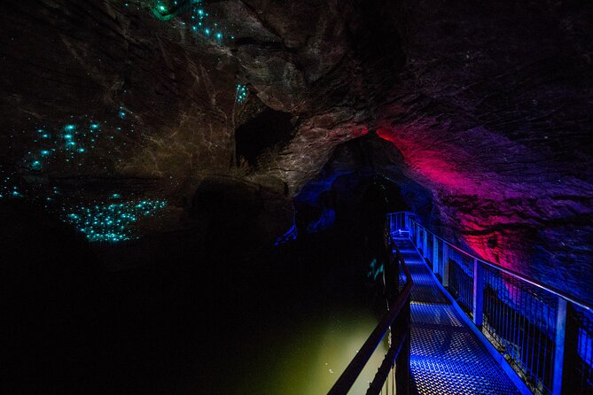 Waitomo Glowworm Caves and Kiwi House Small Group from Auckland - From Auckland Central to Waitomo: The Drive Matters
