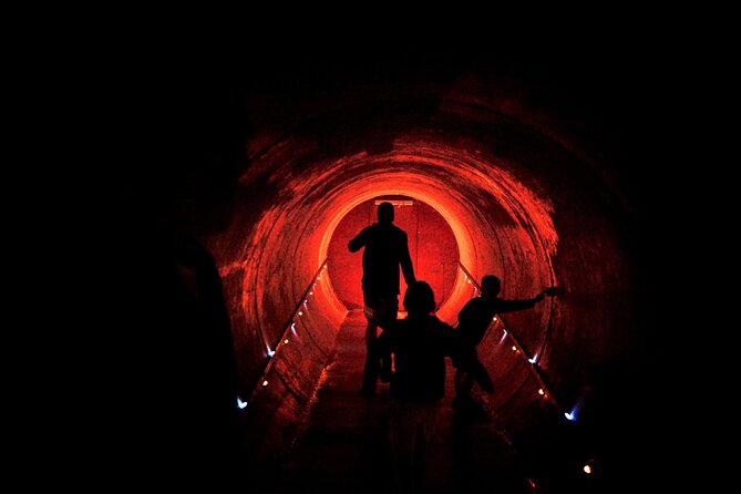 Waitomo Glowworm Caves and Kiwi House Small Group from Auckland - Otorohanga Kiwi House and Bird Park: Kiwi Time Plus Local Bird Diversity