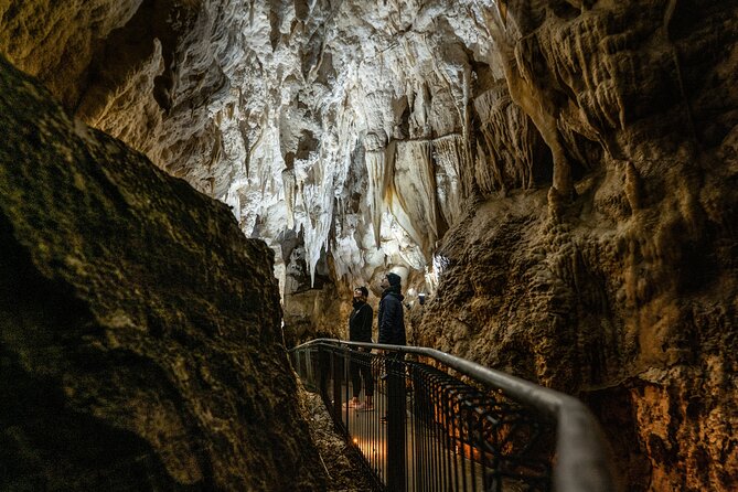 Waitomo Glowworm Caves and Kiwi House Small Group from Auckland - What’s Included in the Price, and Where You Get Real Value